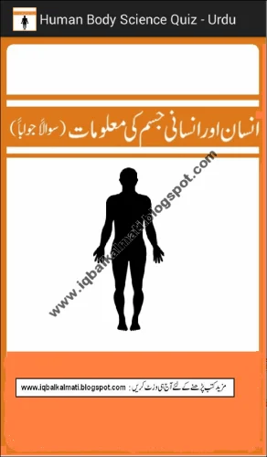 Human Body